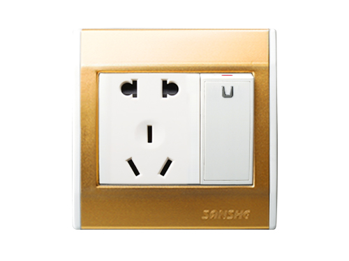 Graceful and luxurious, a single (double) control switch, two or three pole socket